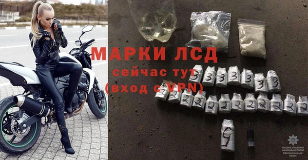 ПСИЛОЦИБИНОВЫЕ ГРИБЫ Бородино
