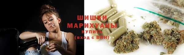 ПСИЛОЦИБИНОВЫЕ ГРИБЫ Бородино