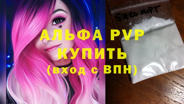 ПСИЛОЦИБИНОВЫЕ ГРИБЫ Бородино