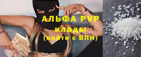 ПСИЛОЦИБИНОВЫЕ ГРИБЫ Бородино
