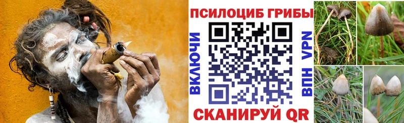 Псилоцибиновые грибы Magic Shrooms  Купить закладки  Алупка 